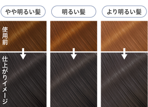 クールブルージュの仕上がりイメージ