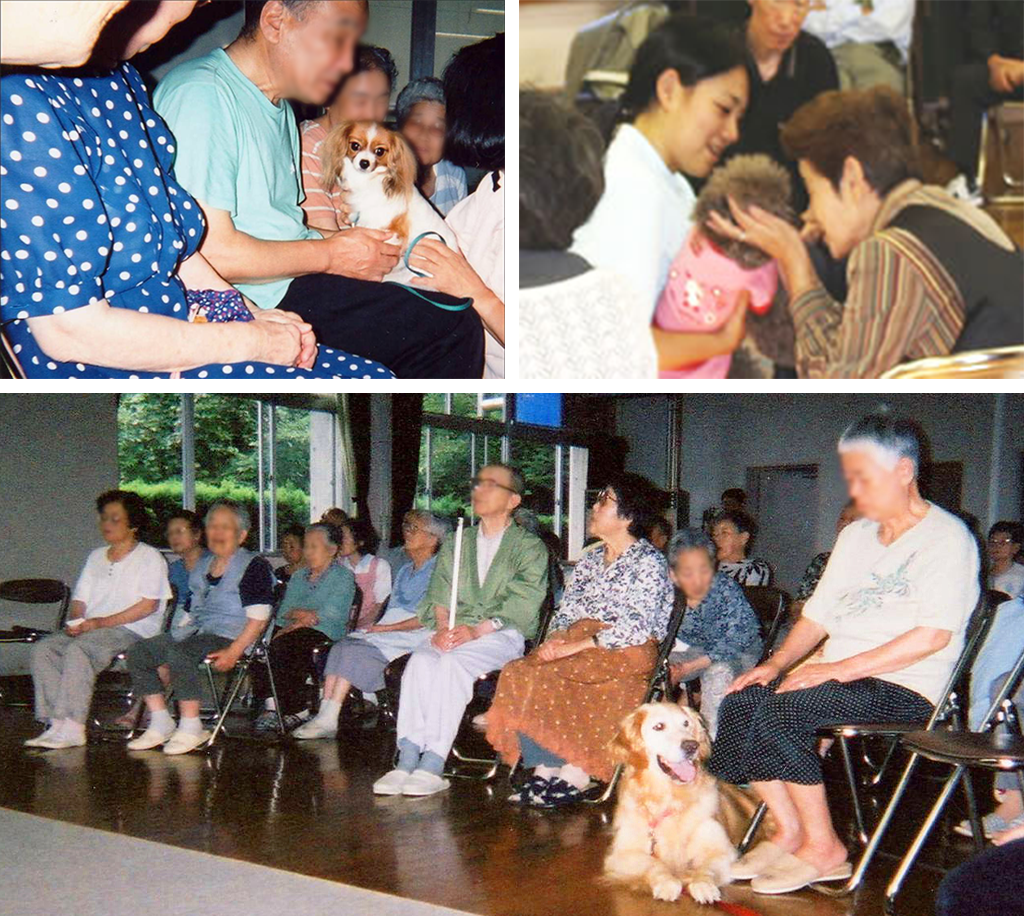 高齢者のqolを高めるペットとの暮らし 医科学博士 的場美芳子先生 達人コラム くらしの現場から 花王 くらしの研究 高齢者のqolを高めるペットとの暮らし 医科学博士 的場美芳子先生 達人コラム くらしの現場から 花王 くらしの研究