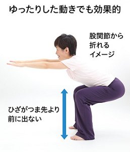 スクワットのイメージ写真。ゆったりとした動きでも効果的。股関節から折れるイメージ、ひざがつま先より前に出ないことがポイント。