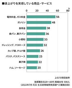 値上がりを実感している商品・サービスのグラフ　上位10項目抜粋　首都圏在住20～60代 既婚女性 500人（花王 生活者情報開発部調べ）（複数回答）