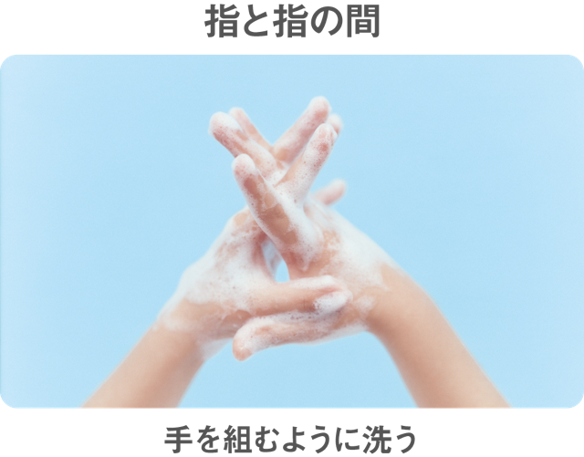 指と指の間　手を組むように洗う