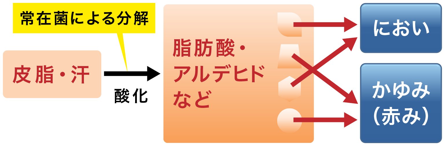 頭皮の臭いやベタつきを解消 シャンプー５つのポイント 髪のプロ監修 応援 くらしのキレイ 花王 くらしの研究
