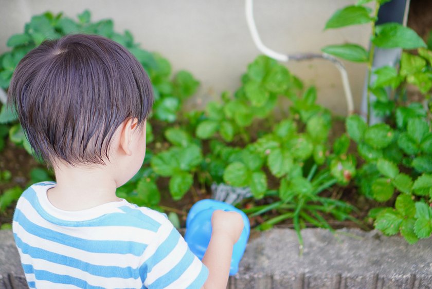 頭皮の臭いやベタつきを解消 シャンプー５つのポイント 髪のプロ監修 応援 くらしのキレイ 花王 くらしの研究