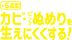 約6週間カビ・ピンクぬめりを生えにくくする！