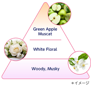 トップ：Green Apple,Muscat、ミドル：White Floral ラスト：Woody, Musky