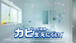 約6週間　カビ生えにくい！