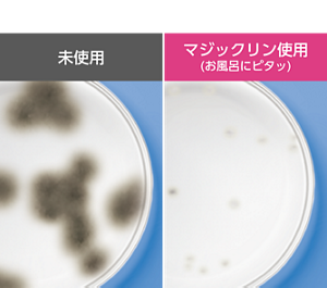 浴室内防カビ試験（培養プレート上）マジックリンお風呂にピタッ使用・未使用比較画像