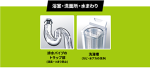 浴室・洗面所・水まわりの排水パイプのトラップ部（消臭・つまり防止）、洗濯槽（カビ・水アカの洗浄）