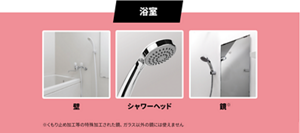 浴室の壁、シャワーヘッド、鏡