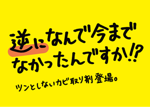 逆になんで今までなかったんですか！？ツンとしないカビ取り剤登場。