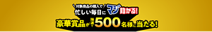 対象商品の購入で忙しい毎日にマジ助かる！豪華景品が抽選で500名様に当たる！