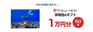 好きな体験に使える！　 アソビュー！ギフト 体験型eギフト 1万円分 50名