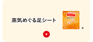 蒸気めぐる足シート