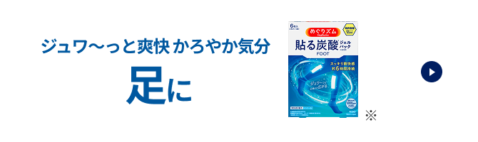 Kao めぐりズム 蒸気の温熱シート 下着の内側面に貼るタイプ ( 5