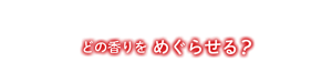 どの香りをめぐらせる?
