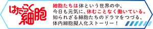 はたらく細胞　細胞たちは体という世界の中、今日も元気に、休むことなく働いている。知られざる細胞たちのドラマをつづる、体内細胞擬人化ストーリー！