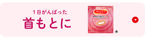 1日がんばった首もとに めぐりズム 蒸気めぐる首もとシート グッドナイト＊
