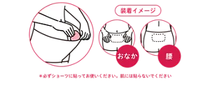 めぐりズム 医療機器 下着の内側面に貼るシートの使い方：装着イメージ　おなか　腰　＊必ずショーツに貼ってお使いください。肌には貼らないでください。