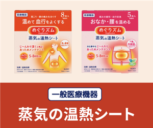 一般医療機器 蒸気の温熱シート