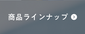 商品ラインナップ