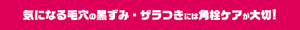 気になる毛穴の黒ずみ・ザラつきには角栓ケアが大切！