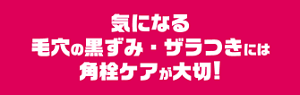 気になる毛穴の黒ずみ・ザラつきには角栓ケアが大切！