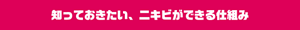 知っておきたい、ニキビができる仕組み