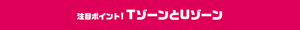 注目ポイント！TゾーンとUゾーン