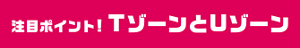 注目ポイント！TゾーンとUゾーン