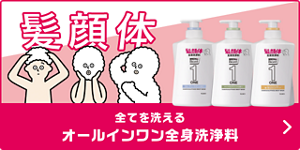 髪 顔 体 全てを洗える オールインワン全身洗浄料