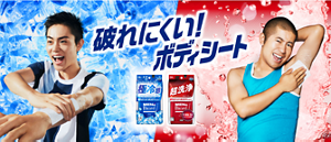 破れにくい！ ボディシート