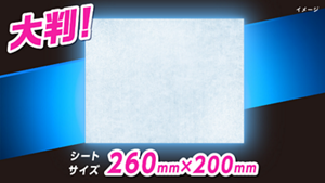 シートは260×200mmの大判サイズ