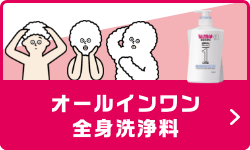 オールインワン 全身洗浄料