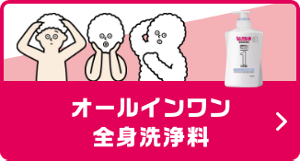 オールインワン 全身洗浄料