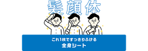 これ1枚ですっきりふける 全身シート