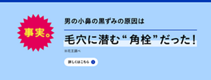 事実。男の小鼻の黒ずみ。原因は毛穴に潜む”角栓”だった！※花王調べ　詳しくはこちら