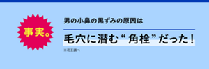 事実。男の小鼻の黒ずみ。原因は毛穴に潜む”角栓”だった！※花王調べ