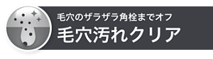 毛穴のザラザラ角栓までオフ毛穴汚れクリア