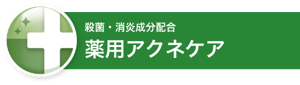 殺菌・消炎成分配合 薬用アクネケア