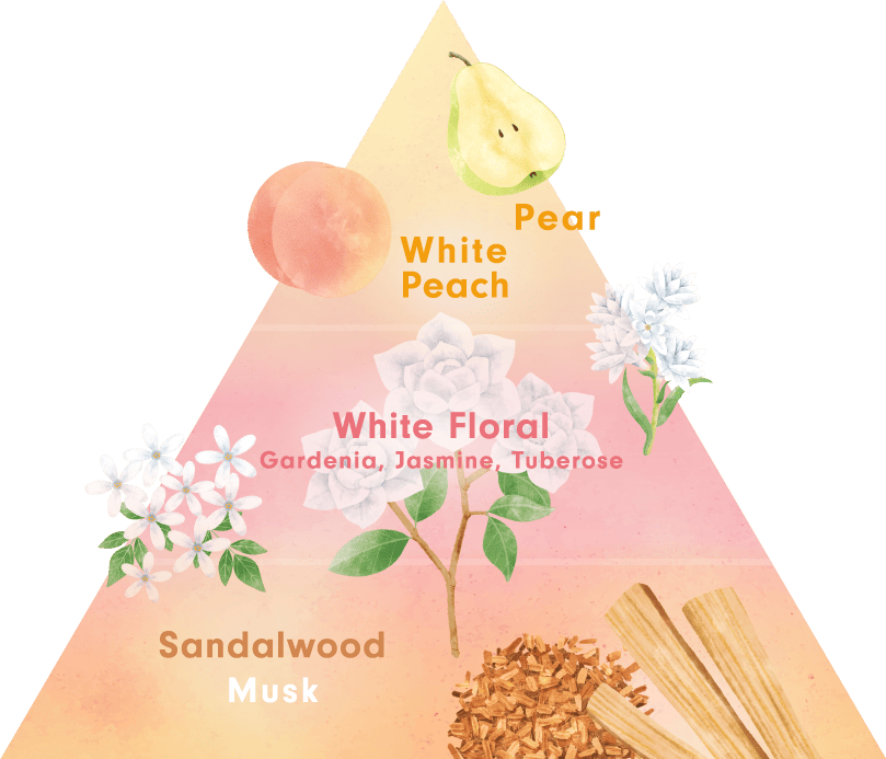 トップノートはペアー・ホワイトピーチ。ミドルノートはホワイトフローラル（ガーデニア・ジャスミン・チュベローズ）。ラストノートはサンダルウッド・ムスク。