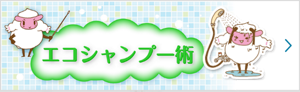 エコシャンプー術