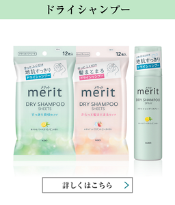 ドライシャンプー 詳しくはこちら