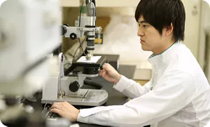 顕微鏡で構造を確認する研究員の画像