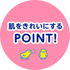 肌をきれいにするPOINT！