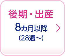 後期・出産 8ヵ月以降(28週～)