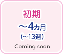 初期 ～4ヵ月(～13週) Coming soon