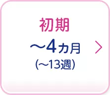 初期 ～4ヵ月(～13週) 