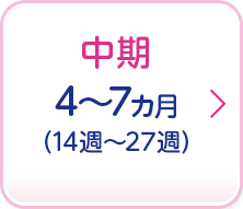 中期 5～7ヵ月(15～27週) Coming soon