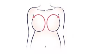バストの塗り方のイラスト