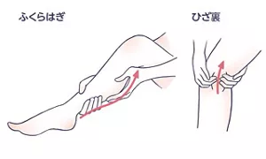 ふくらはぎ・ひざ裏のマッサージのイラスト